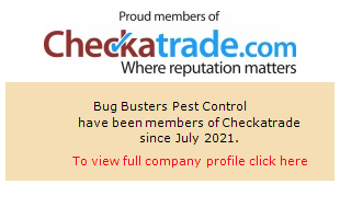 Checkatrade information for Bug Busters Pest Control