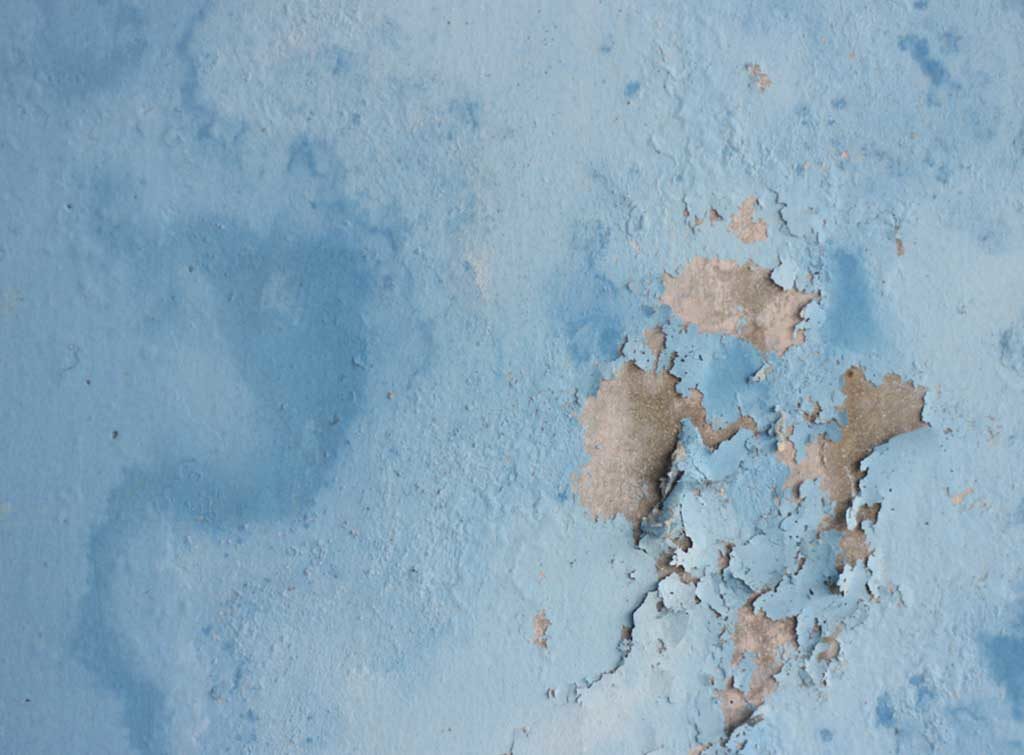 damp paint peeling