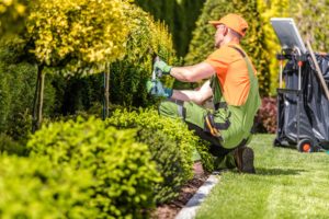 Gardener tidying up garden