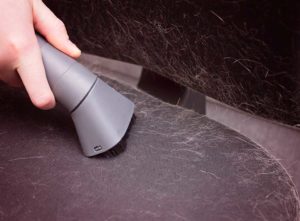 dog hair removal