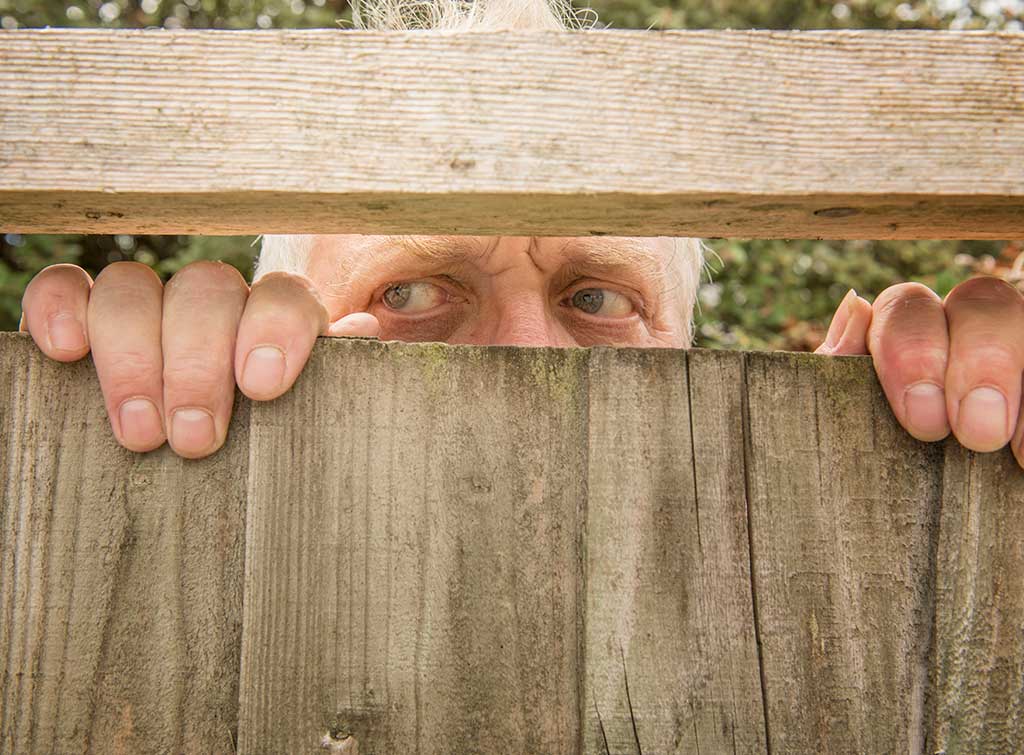 fence ownership neighbour disagreement
