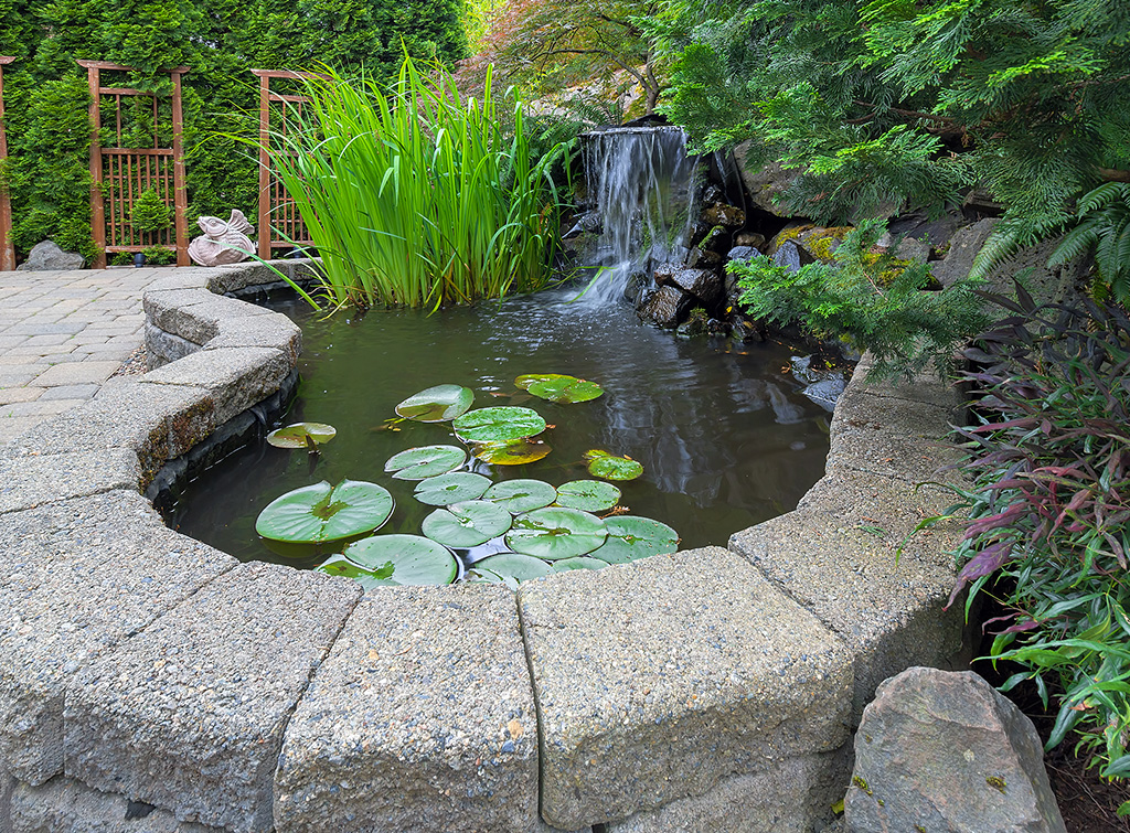 How much does a pond cost