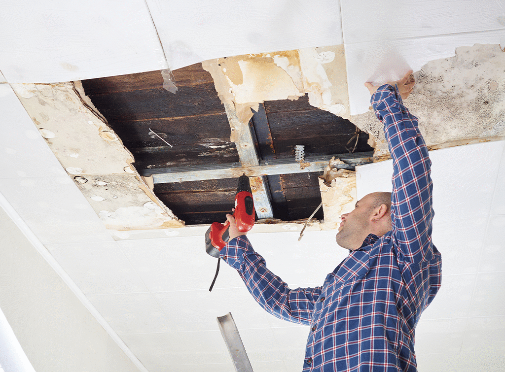 How Much Does Ceiling Repair Cost In, How To Fix A Collapsed Ceiling