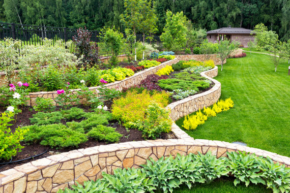 Garden Consultation London: Reasons to Hire an Expert…