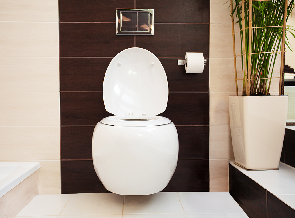 New toilet installation cost guide for a wall hung cistern