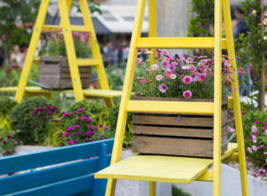 Ladder planters in a budget garden