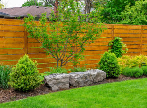 Low maintenance shrubs