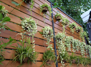Wall planters in a small garden