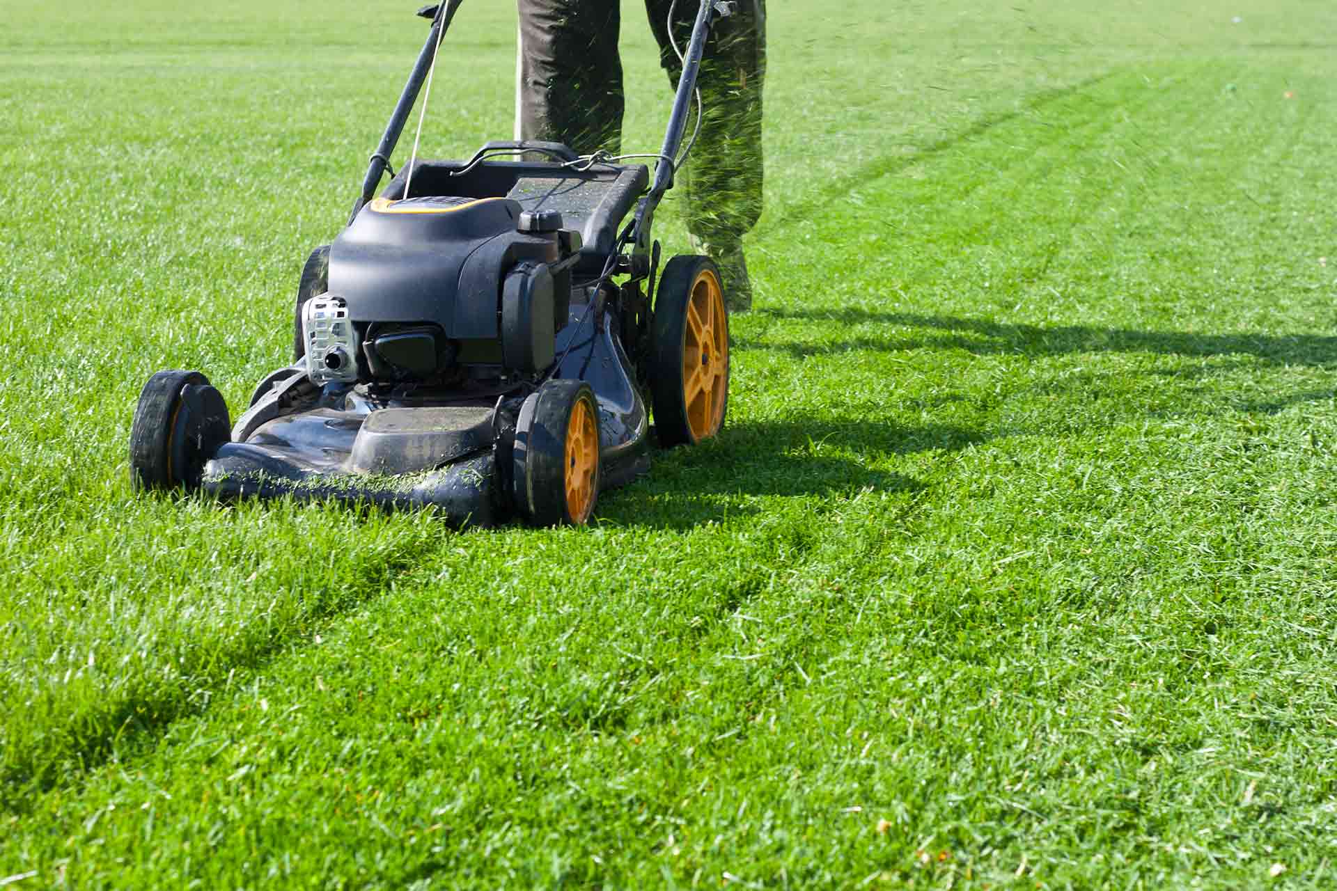 How Much do Grass Cutting Services Cost in 2024?