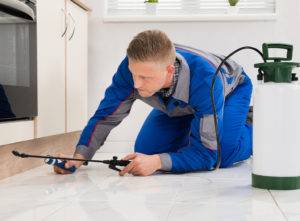 Pest control price estimates