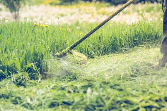 COST TO CUT GRASS