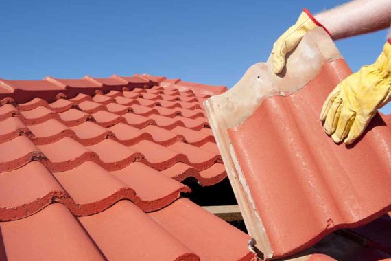 Roof