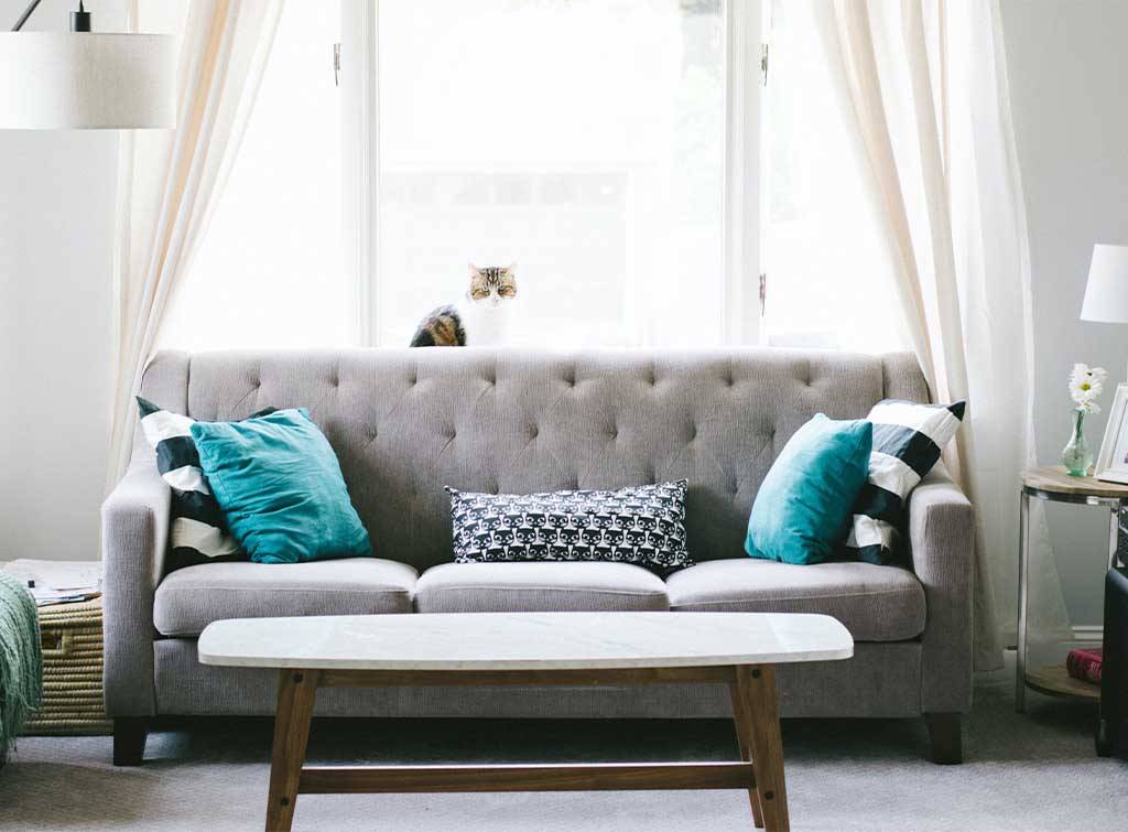 How To Clean a Sofa At Home: A Complete Sofa Washing Guide