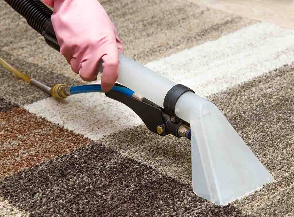 Professional rug cleaning online