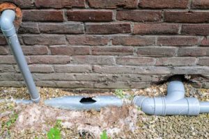 Drain repair cost showing broken sewer pipe