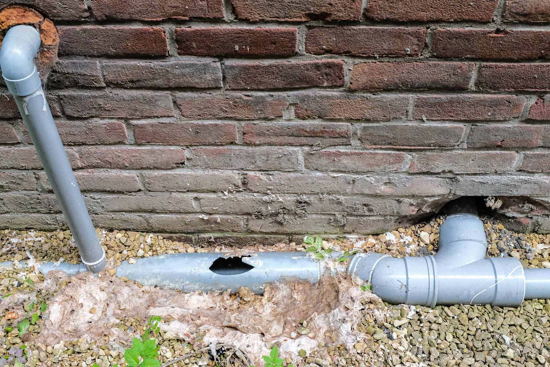 How Much Does Drain Repair Cost In 2024