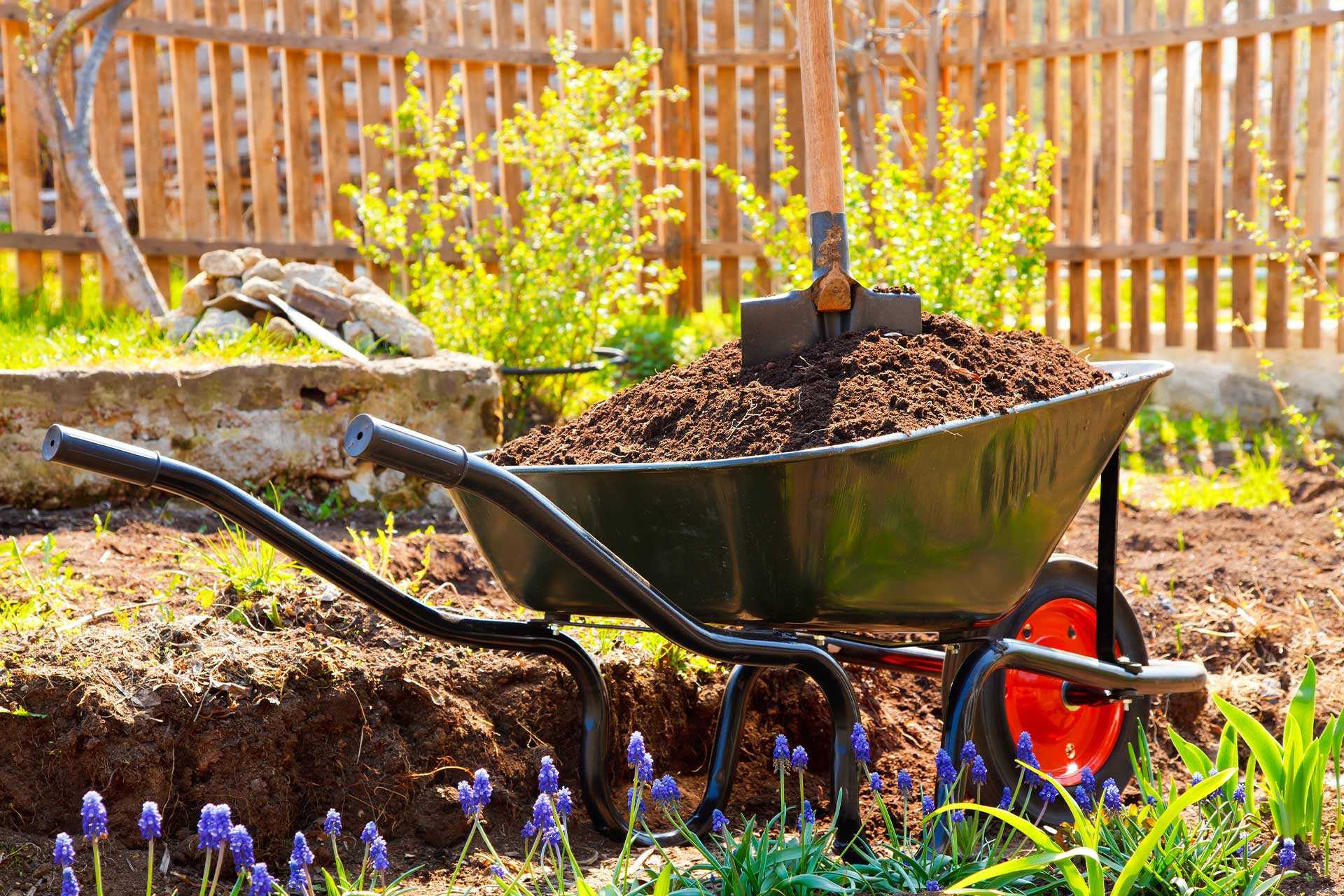 Garden Clearance Cost Guide - Green Waste & More ...