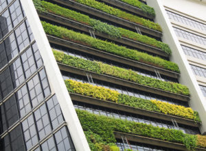 green roof alternatives