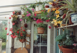 Lean to conservatory ideas