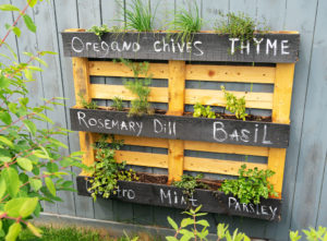 Garden styling ideas photos