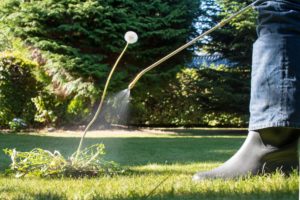 Lawn treatment in progress