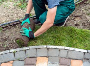 Gardener laying down lawn turf
