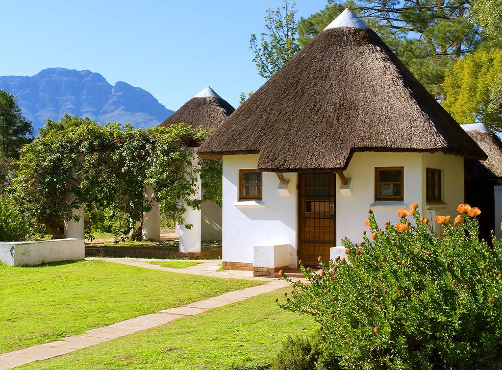 thatched roof ideas