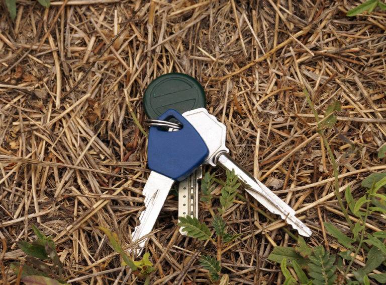 How Much Does Car Key Replacement Cost In 2024 Checkatrade how-much-does-car-key-replacement-cost-in-2024-checkatrade