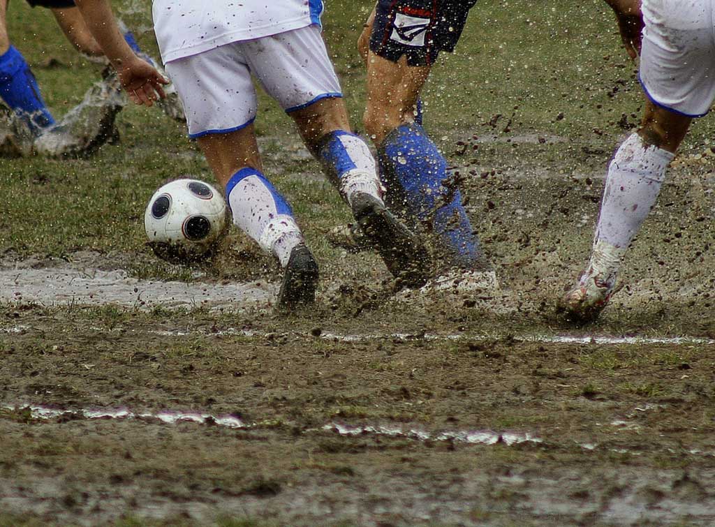 Basic maintenance tips for a natural grass pitch