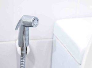 Bidet spray installed next to toilet