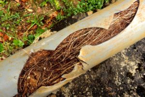 Collapsed drain cost