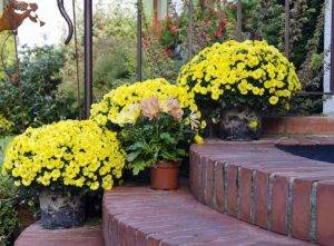 Cost of brick steps