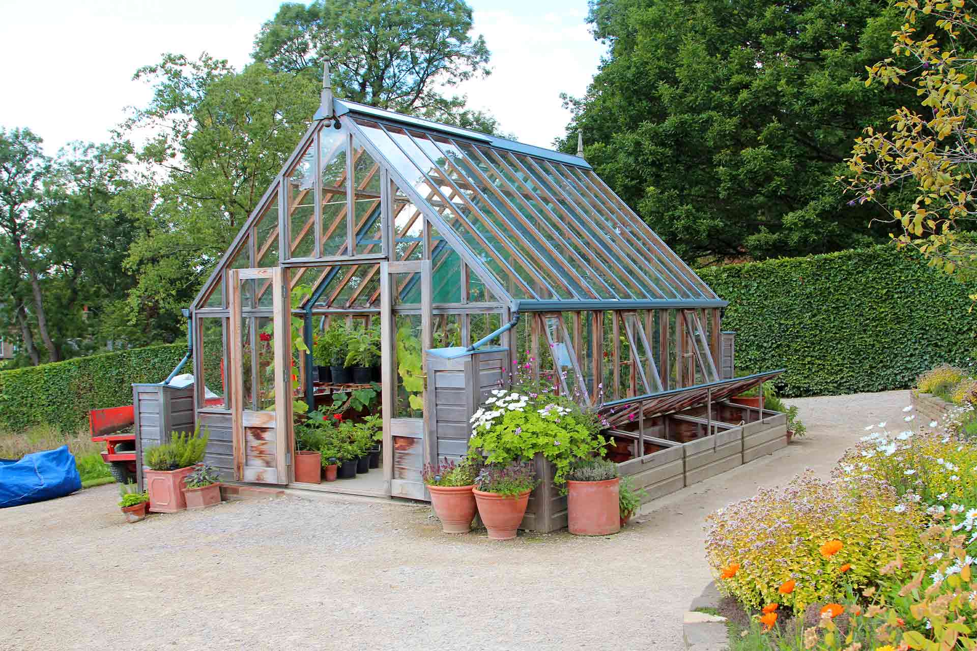an image of a glass greenhouse with plants inside and cold frames outside
