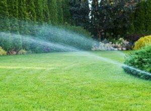 Lawn irrigation system cost