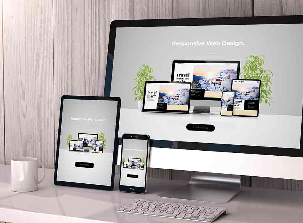 Professional website design cost