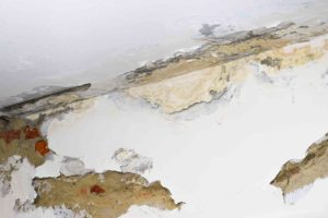 How to treat damp walls before painting