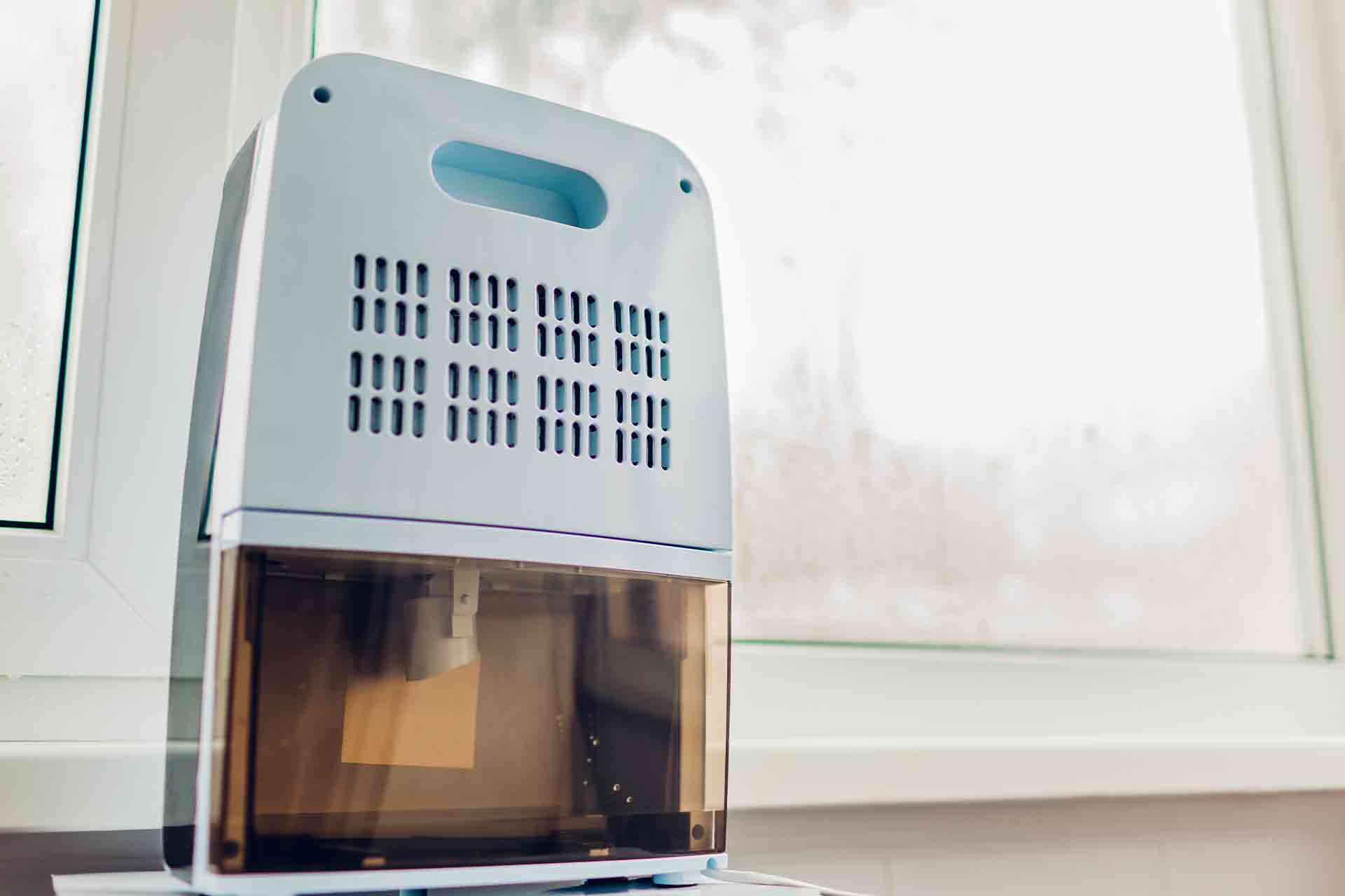 Best home dehumidifier 2020 deals