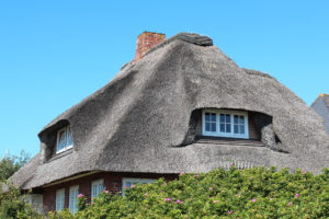 Thatched roof