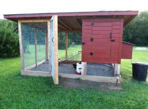 cost of building a chicken house