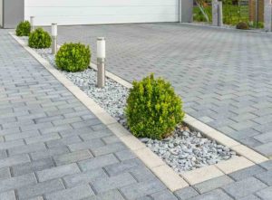 Paved driveway with shrubs