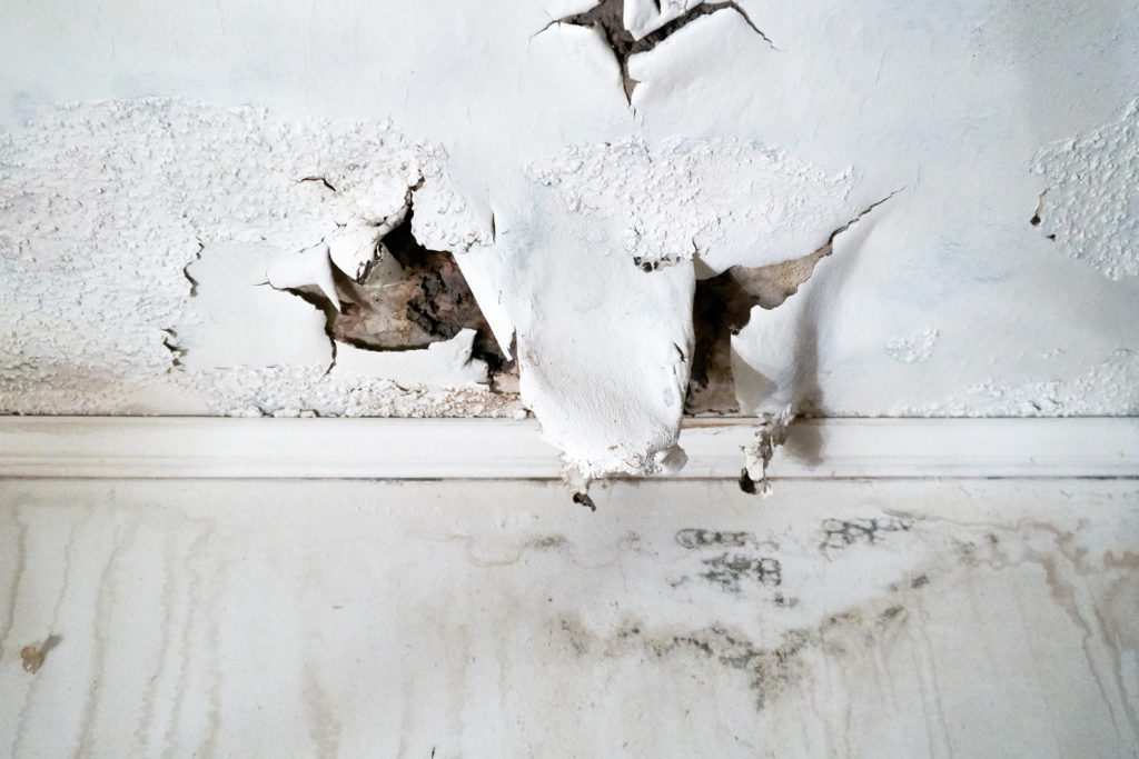 How to Paint a Wall After Water Damage