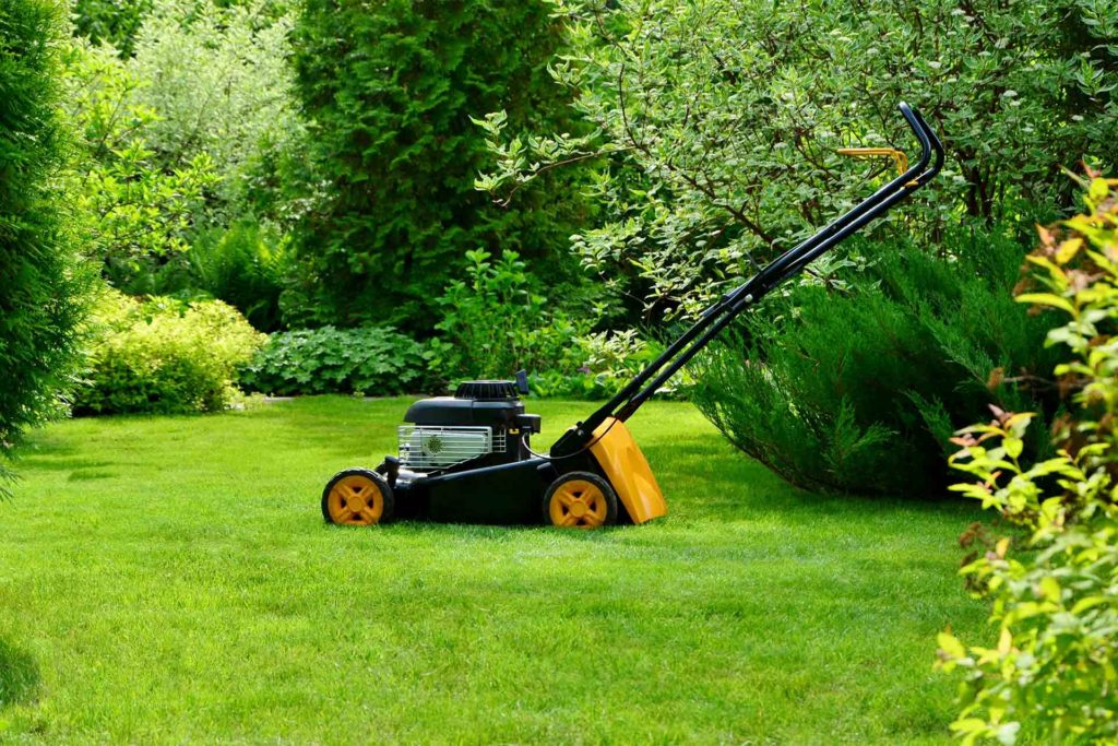 How Much do Grass Cutting Services Cost in 2024 Checkatrade
