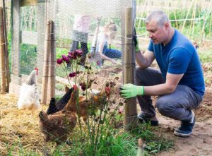 how to build a chicken coop and run
