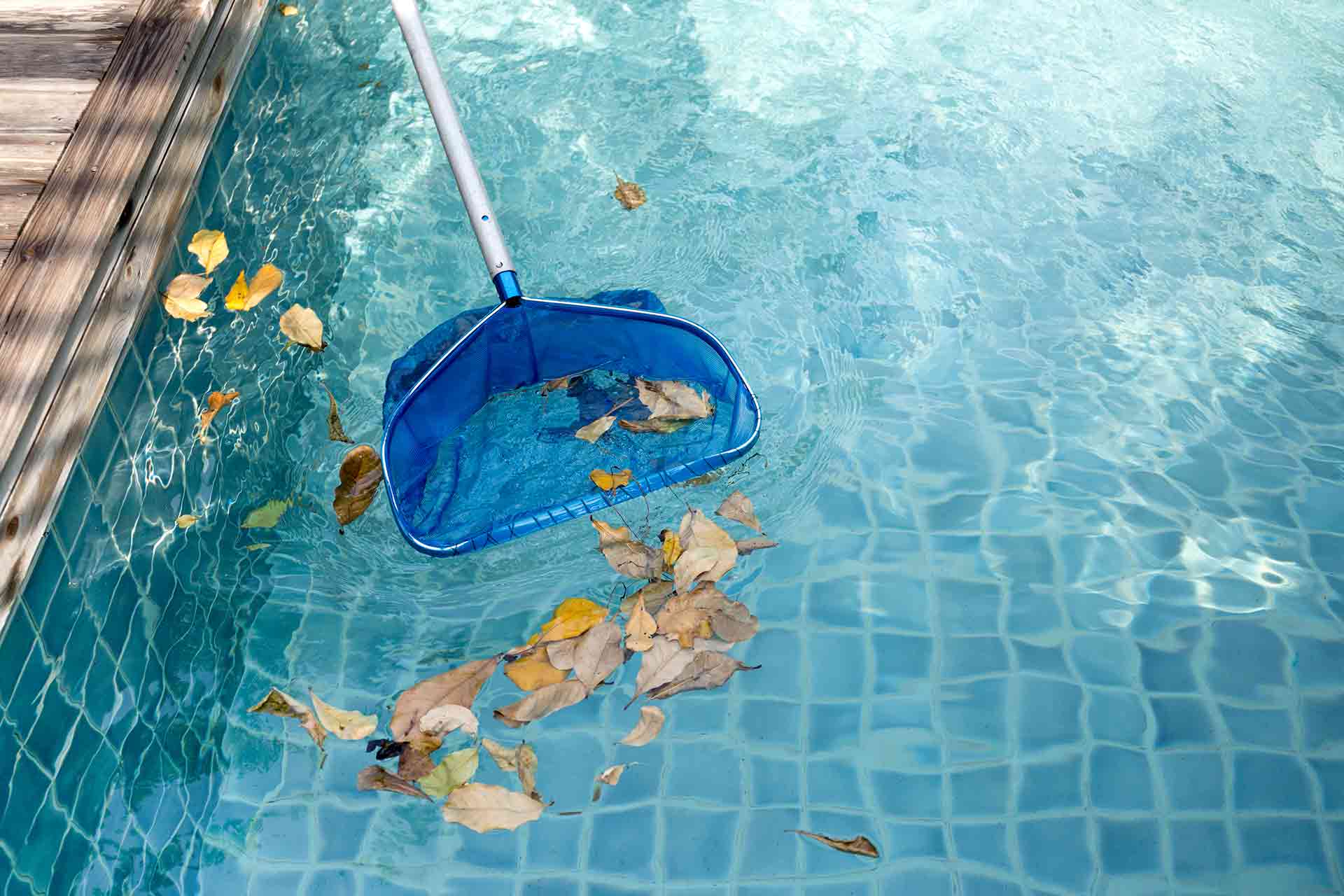 Swimming Pool Repair Service