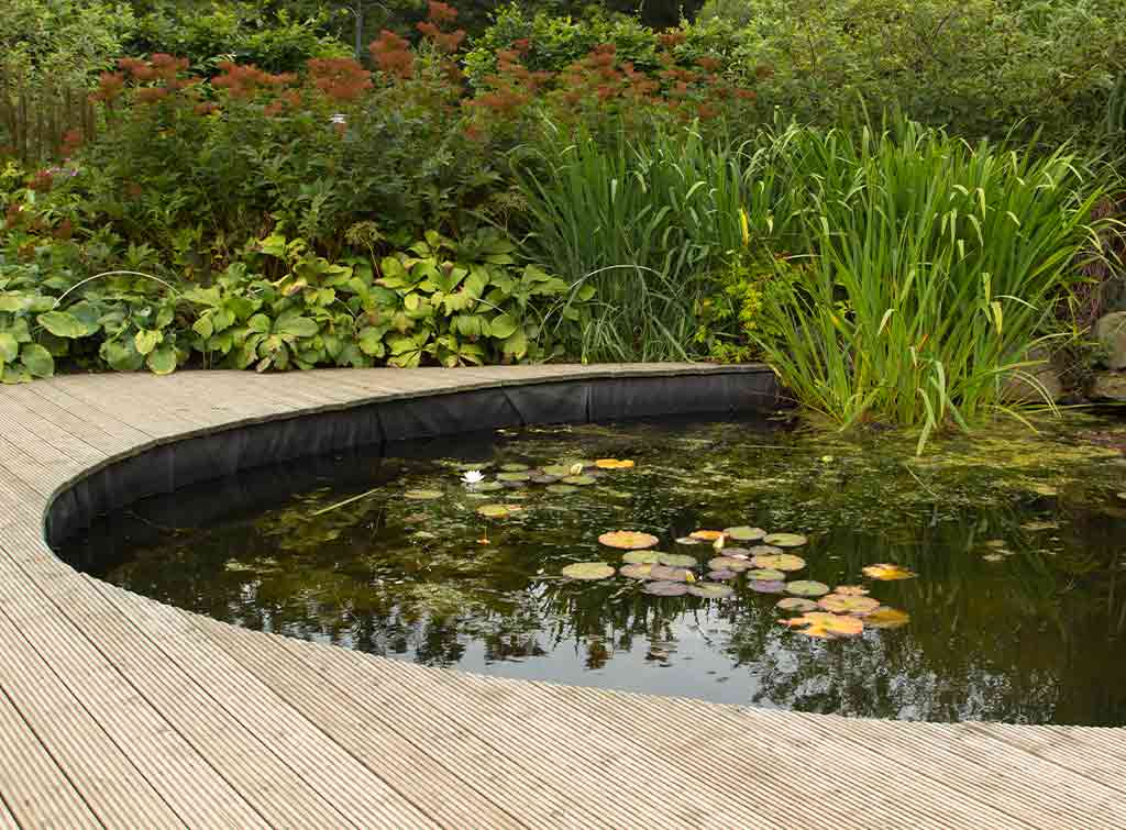 18+ Raised Pond Edging Ideas