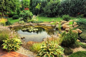 garden pond ideas