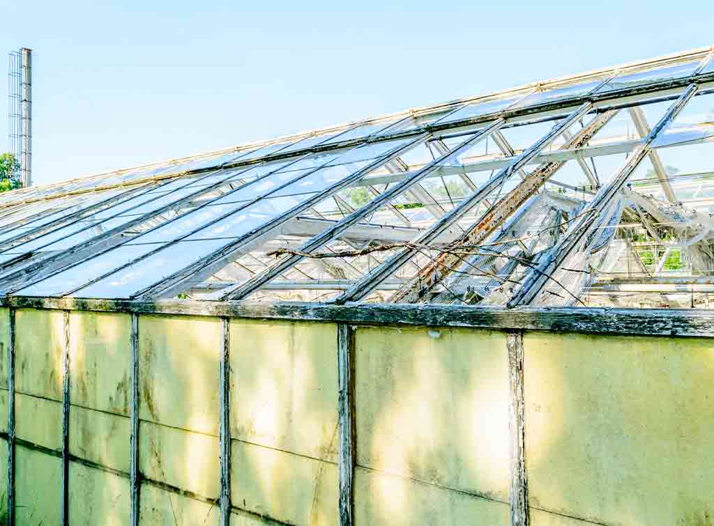 Greenhouse glass replacement cost
