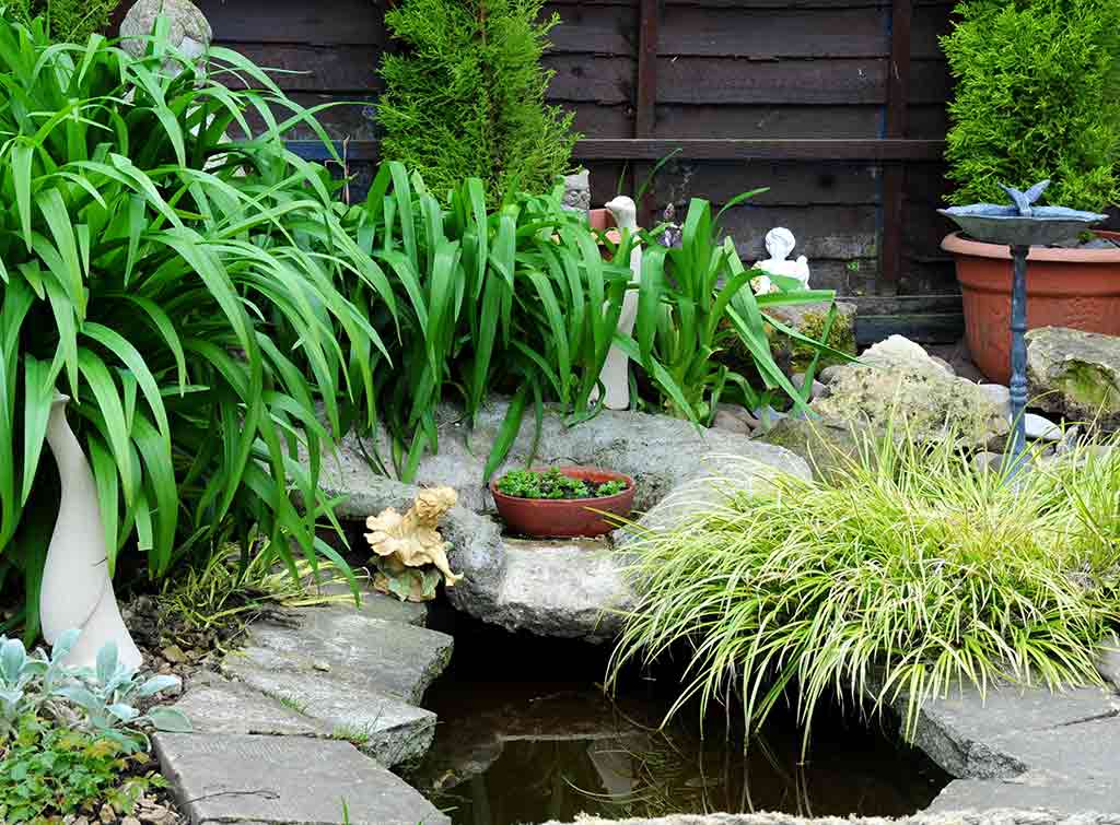 Small pond with foliage DIY