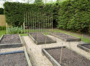 cost of building raised beds