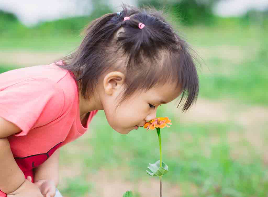 Flowers for touch and interest